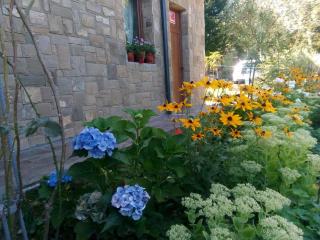 Boomerang Guest House - 1