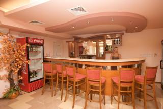 Семеен Хотел Елена Палас - 8