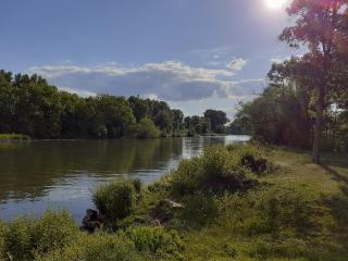 Main Idyll - Frickenhausen - 1