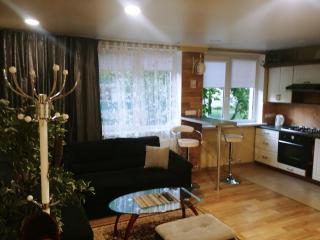 Apartamentai Dana - Birštonas - 9