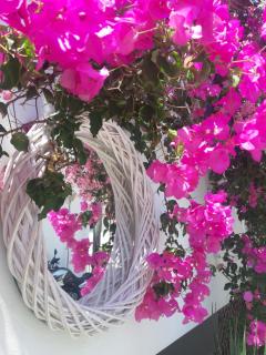 Doron Hotel Delfini - Naxos Chora - 7