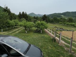 Holiday Home Dragon - Visoko - 7