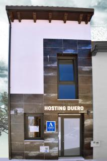 ALBERGUE HOSTING DUERO - Pesquera de Duero - 9