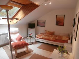 schöne Wohnung nahe Messe Stuttgart und Flughafen für 1-4 Businessgäste - 5