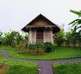 บ้านไร่ชายทุ่ง - 7