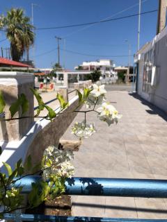 Chrysanthi’s - Faliraki - 1