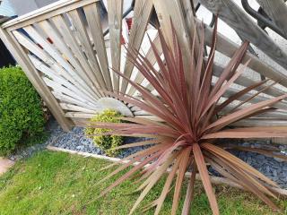 Sefton Lodge SEAFRONT ,PANORAMIC SEA VIEW ENSUITE BALCONY ROOMS AVAILABLE, GUEST GARDEN - Paignton - 3