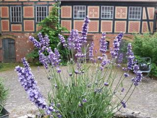 Alte Lebkuchenfabrik - 9