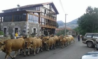 Posada El Mirador - 0