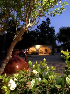 Masseria Scianne - Sant'Isidoro - 9