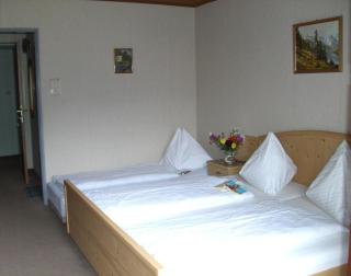 Pension & Ferienwohnung Sonnleiten - 7