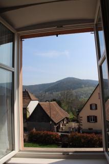 Ancien Presbytère Albert Schweitzer - Gunsbach - 4