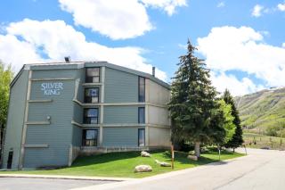 Silver King by All Seasons Resort Lodging - 3