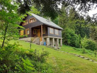 Chata FORESTINA - Vyšné Ružbachy - 7