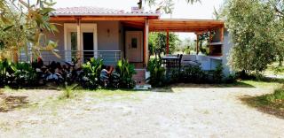 Annashousethassos - Skala Rachoniou - 0
