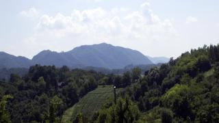 Robinzonski smještaj Green Peak - Tuhelj - 7