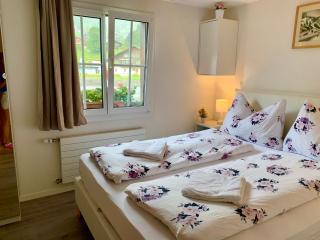 Amazing Apartment EIGER Grindelwald - Grindelwald - 9