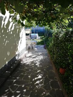 La casa di Ginger - Malpensa - 6