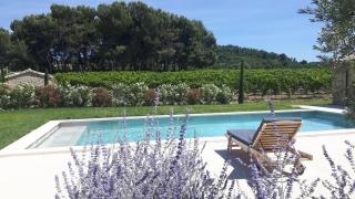 Le Cottage du Chat Blanc - 1