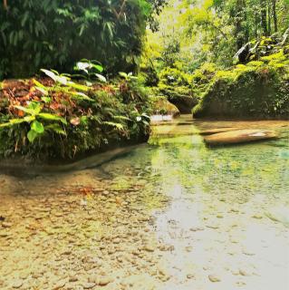 TOGA GUEST HOUSE - Port Antonio - 1