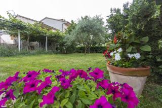 Apartments with parking spaces Fazana - 18334 - Fasana (Fažana) - 9