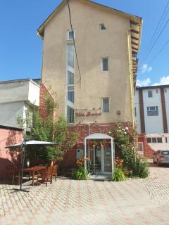 Pensiunea Vila Dana - Cluj-Napoca - 1