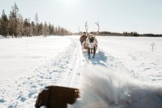 Lapland Hotels Riekonlinna - 1