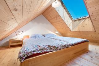 Homestead farm Tešnak - 3