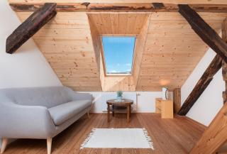 Homestead farm Tešnak - 2