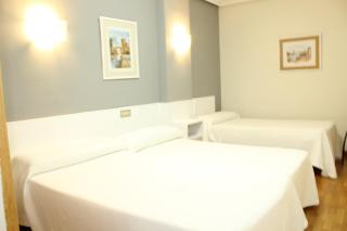 Hotel Fuente La Plata - la Eria - Oviedo - 3