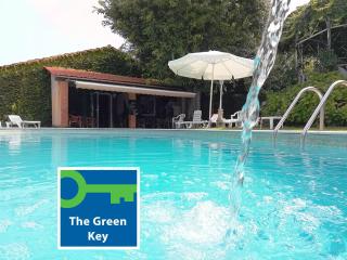 Alegre - Bussaco Boutique Hotel - Luso - 0