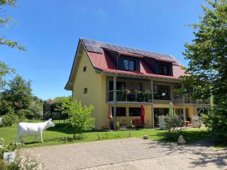 Ferienwohnung Kapellenweg Bambergen bei Überlingen - Bambergen - 9