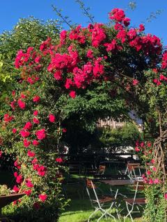 Landgasthof Zum Kirchenwirt - 6