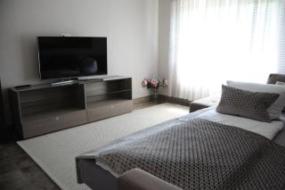 Ferienzimmer Ellisee, kontaktloser Check-in - Friedrichshafen - 3