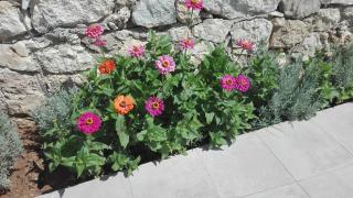 Natura e Mare - Karpathos - 9