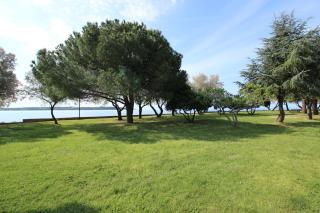 ELENA, 100 m from the beach - Novigrad (Cittanova d'Istria) - 2