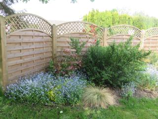 Apple Tree Corner Apartment - Yate - 6