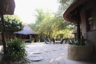 Discovery Bed and Breakfast - Maun - 7