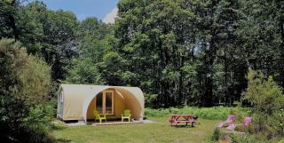 Camping Bois de St Hilaire - Chalandray - 4