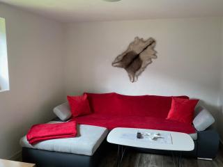 Appartments-Hutter - Neukirchen am Grossvenediger - 4