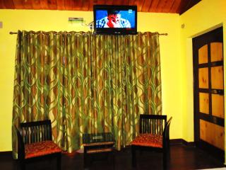 Himalaya Darshan Resort - Kausani - 9