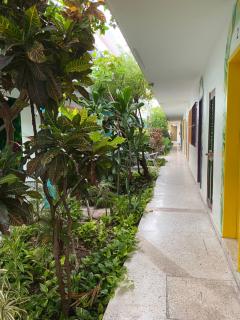 Hotel Posada Edem - Cozumel - 8