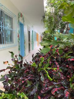 Hotel Posada Edem - Cozumel - 6