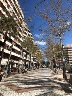 Preciosa en GANDIA a 5 min del centro histórico - 3