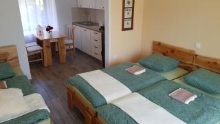Seventh house - Ilirska Bistrica - 0