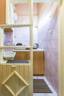 Подобово у місті Львові на вулиця Ференца Ліста 3 біля Палацу Мистецтв центр - Lviv - 2
