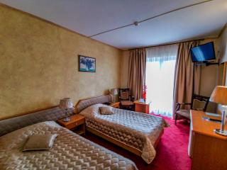 Hotel Belvedere - Predeal - 4