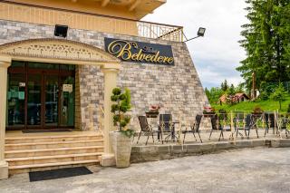 Hotel Belvedere - Predeal - 8