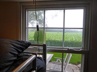 Vakantiehuis Appelvink, Toplocatie in bosrijke omgeving - Oisterwijk - 3