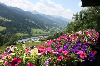 Schernthaner - Taxenbach - 1